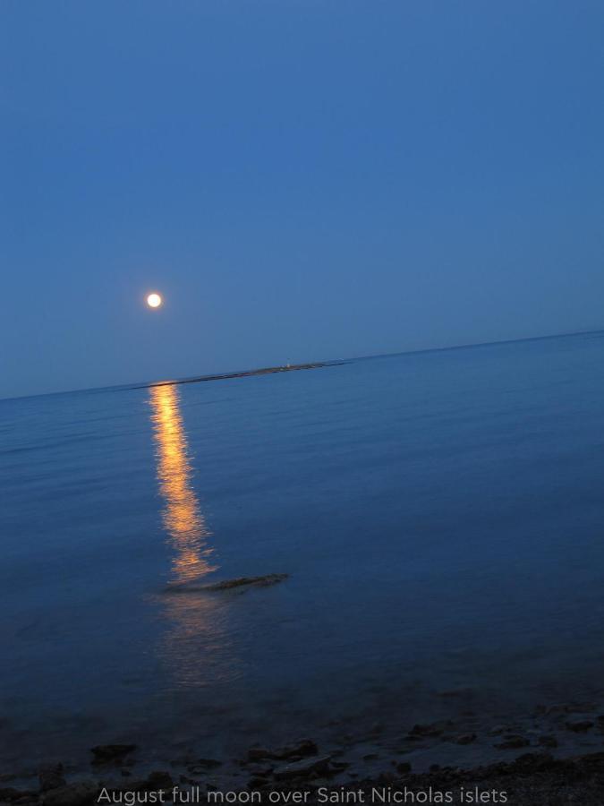 Villa Alykes House Near The Sea Artemida  Esterno foto